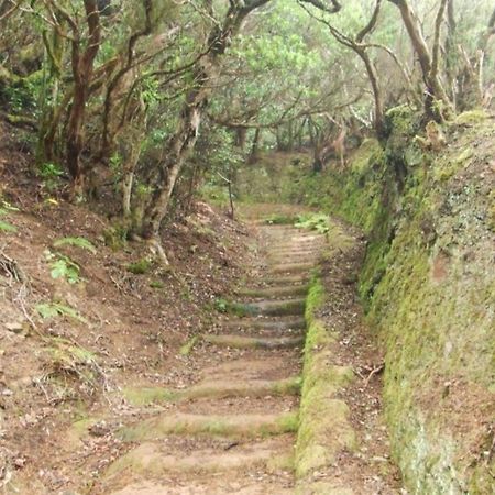 Casa Del Cu Bano B- Biosphere Reserve サンタクルスデテネリフェ エクステリア 写真